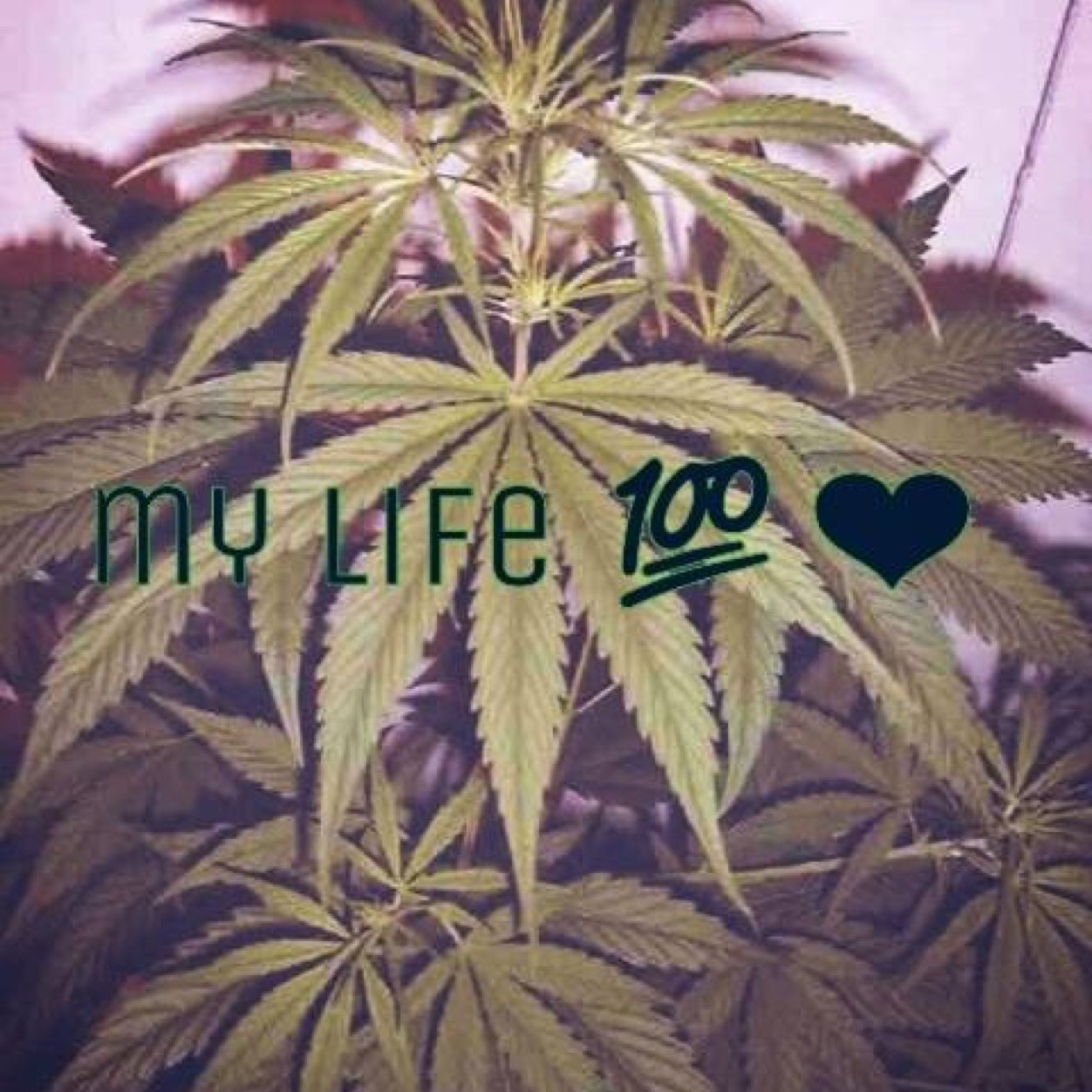 ♡♥tuh nenah ♡♥teamah♡♥ aweh y bienh ♡♥loh sabesh♥♥mi flakiito♡♥