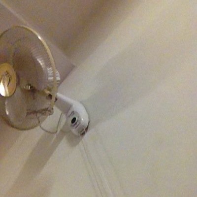 qatesting1986's profile picture. 