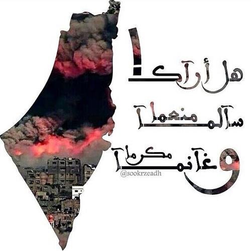 انا بنت من جيل 1997 .. يعني طالعه توجيهي وللأسف علمي .. بضحك كتير وبغني اكتر .. مزاجيه بعصب بسرعه .. الاغاني حياتي  .. فلسطينية الاصل والميلاد .. وفلسطين حبيبتي