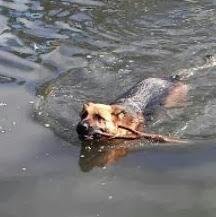 marcoranauro1's profile picture. 