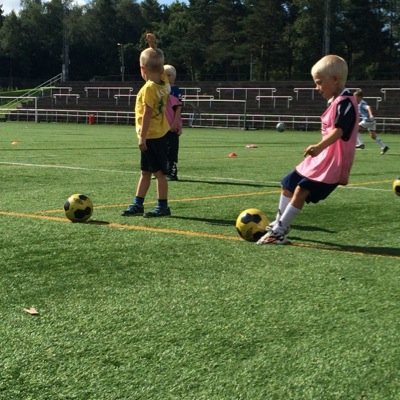 fjellberg's profile picture. 