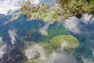 cleveroney's profile picture. 