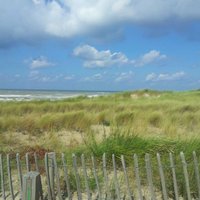 Erik Evers (@evers_erik) 's Twitter Profile