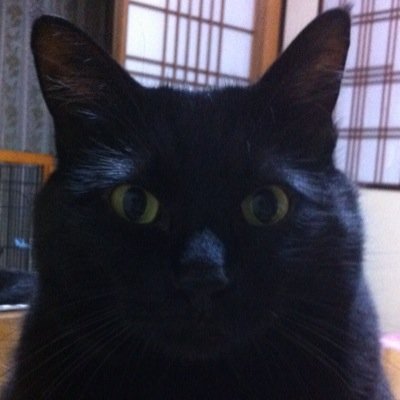 髪ぴん