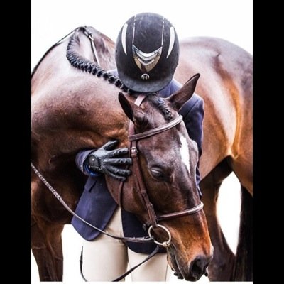 •••Just another bad ass equestrian who looks great in breeches and loves to party•••