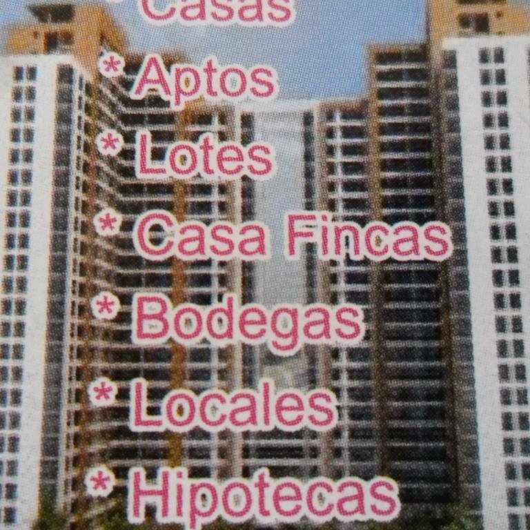 asesor de propiedad raiz.