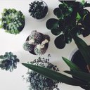 Nicola Smit - @Neec1 - Twitter