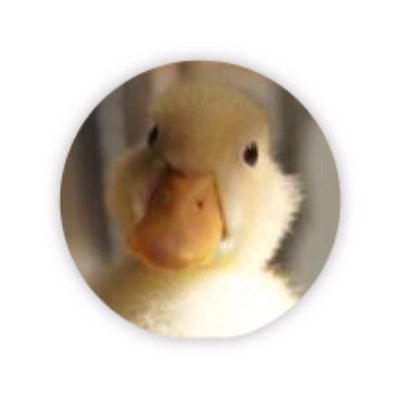 アヒル くちばし Bot در توییتر みにくいアヒルの子 今度は映画のかわいいシーンものっけます アヒル かわいい くちばし Http T Co Bmbo7suedq アヒル くちばし Bot در توییتر みにくいアヒルの子 今度は映画のかわいいシーンものっけます アヒル かわいい くちばし Http T Co Bmbo7suedq