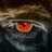 KalboZoneX's profile image