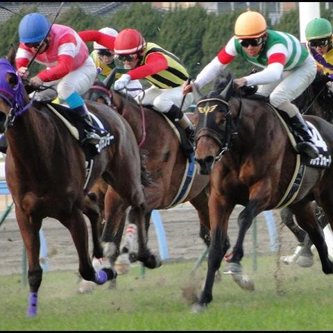 競馬がおもしろすぎてやめられません。トータルではもちろん負けてるんですが、男のロマンですよね