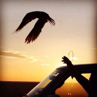 فَ آلزمن مااشي يوجعني .. غير حلم(ن) صعب تحقيقہ ~