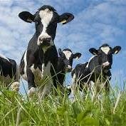 PL_agriconsult's profile picture. Independent consultancy for farmers. Focusing on business, nutrition, building design and waste management amongst many