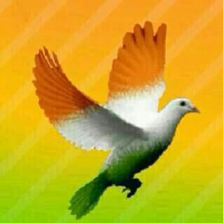 Ravikumar s mulimani 
Professional social worker india