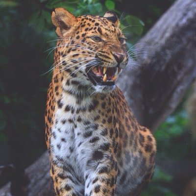 Just_apericub's profile picture. Je veux que tu sois heureux, mais je veux que tu sois heureux avec moi. ✌️❤️