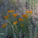 Polly Redmond - @macgillavrey - Twitter