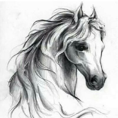 الصمت لايعني القبول دائما؛ أحيانا يعنى أننا تعبنا من التفسير....