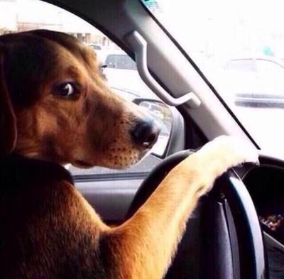 charochan4Jimny's profile picture. ja11乗ってます　EDM　