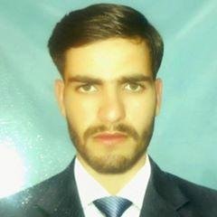 Web Developer