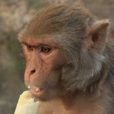 WilliAm_G78's profile picture. Trickshoter xFaZe