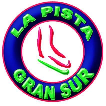 HOCKEY LA PISTA GRAN SUR