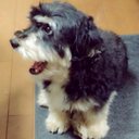 れいじ (@0101Ry) Twitter