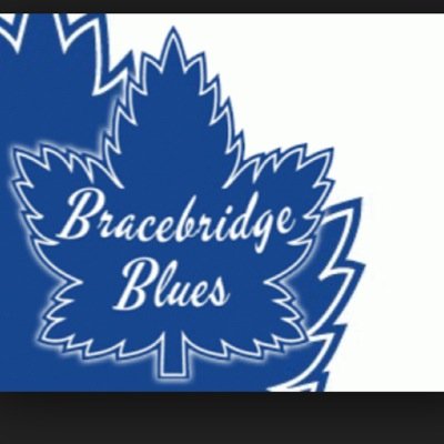 bracebridgeblue's profile picture. 