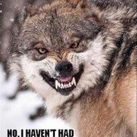 debrakgordon's profile picture. Poet, artist, animal rescuer. Animal advocate. Optimist full of faith in the future. NoDM,NO LISTS. #Resist. #VoteBlue #MakeAmericatrumplessAgain