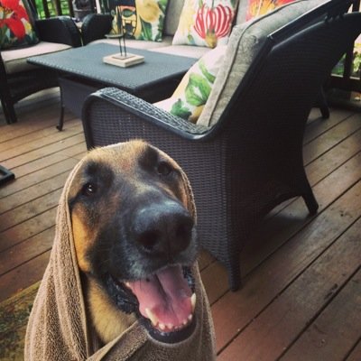 MikeNwaka's profile picture. Grind. Hustle. Repeat. Cornell Alum & Citizen of the World who's always ready for the next adventure....