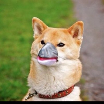 RiddleTomriddle's profile picture. I'm way too gay for a bio.