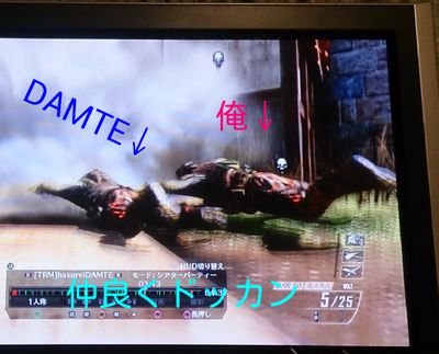 Bo2のことをかいていこうとおもいます 好きは武器はVectork10が好きです ただいまのレシオ1,09 ラグいけどやりたい人はTwitterで言ってください|・x・)ノシ