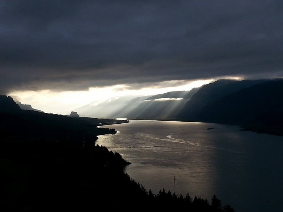 pellis53's profile picture. 