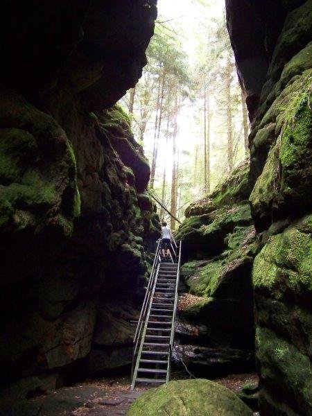 ruffgeorg's profile picture. mache Filme, esse Pflanzen, reise und versuche dabei nicht zu fliegen.
https://t.co/RFzB2rlTi5