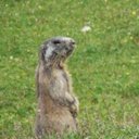 Xavier VELA - @FXV13 - Twitter