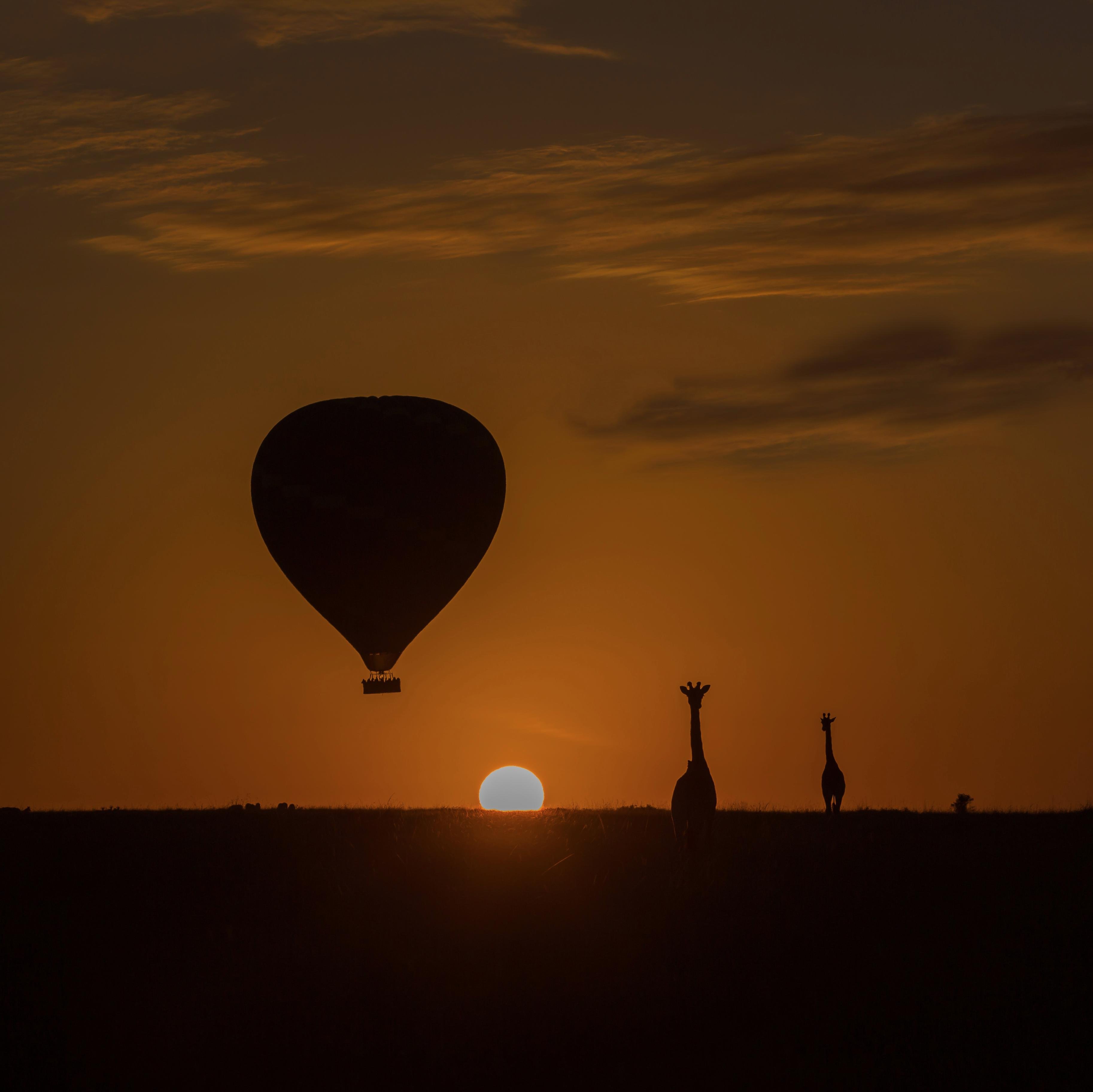 Angel Investor I Founder I Advisor I Wildlife Photographer