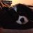 jptomalty's profile image