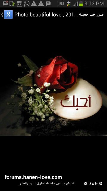 ‏‏Rak( 7DE3C797)