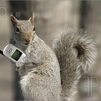 WFUGossipSqrl's profile picture. 