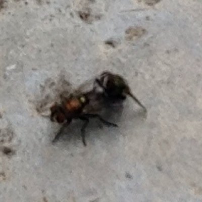 AvionicAndrew's profile picture. just a sec