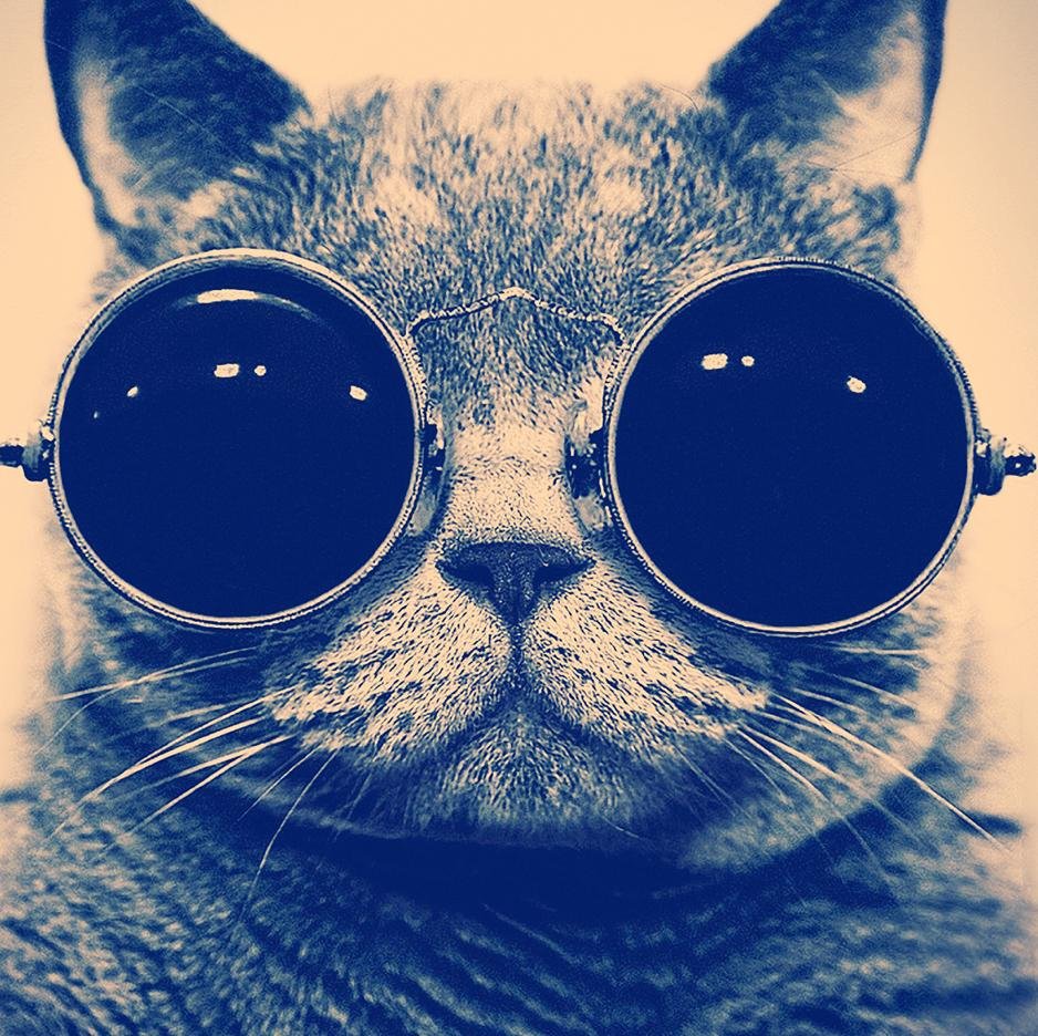 anthlon_23's profile picture. keep calm and mia san mia