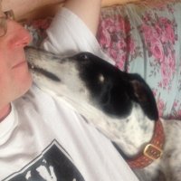 Mike (@dogdoughty) 's Twitter Profile Photo Mike (@dogdoughty) 's Twitter Profile Photo