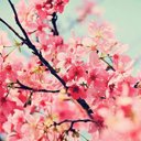 Jennifer  - @BeaJennyBee1 - Twitter