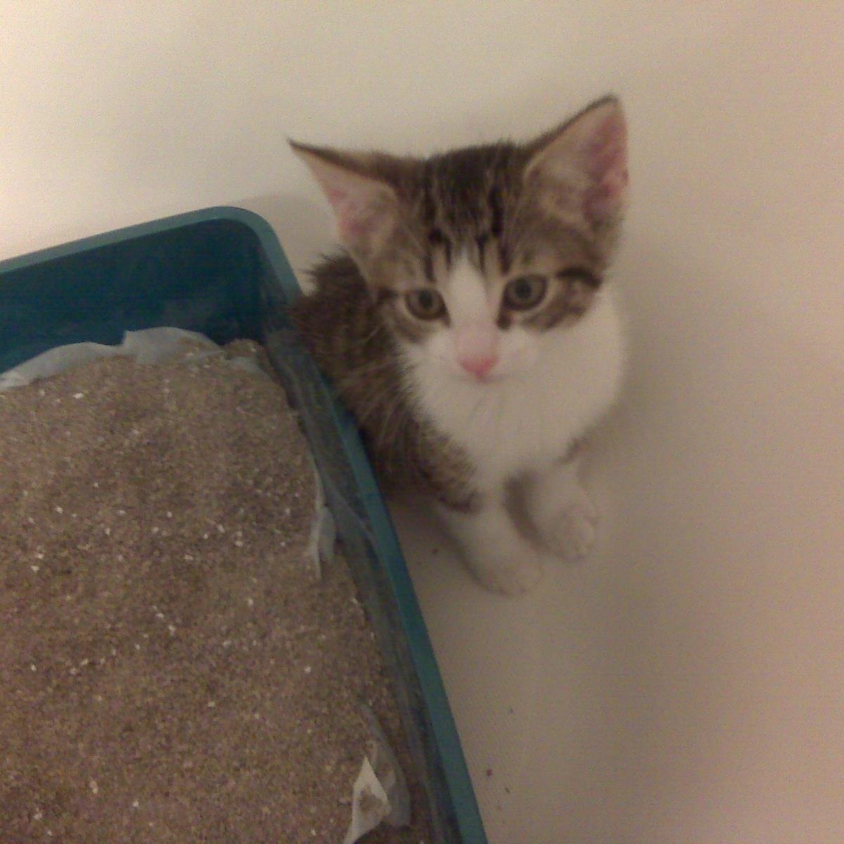 hills_john's profile picture. God, Family, Friends; living with ulcerative colitis. Amateur disc golfer.