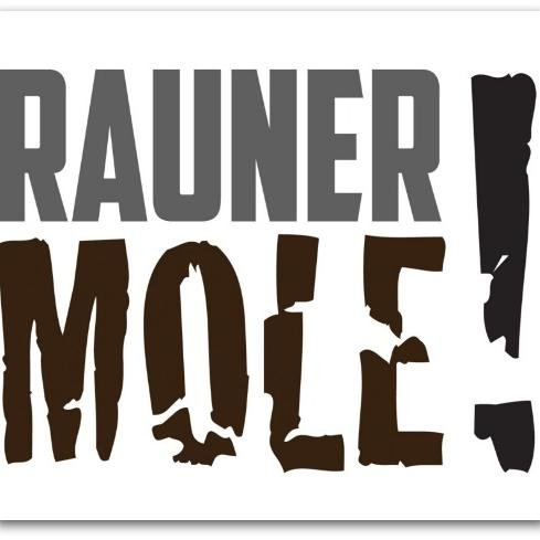 I'm a mole and I'm inside Bruce Rauner's campaign. Wait until you hear about what I have to tell you.