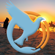 Dream Center for Recovery is a rehab and detox center. We can help transform the dream of recovery into reality. Visit us at http://t.co/QcWjPDtrl8