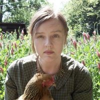 Julia Elliott (@julializelliott) 's Twitter Profile