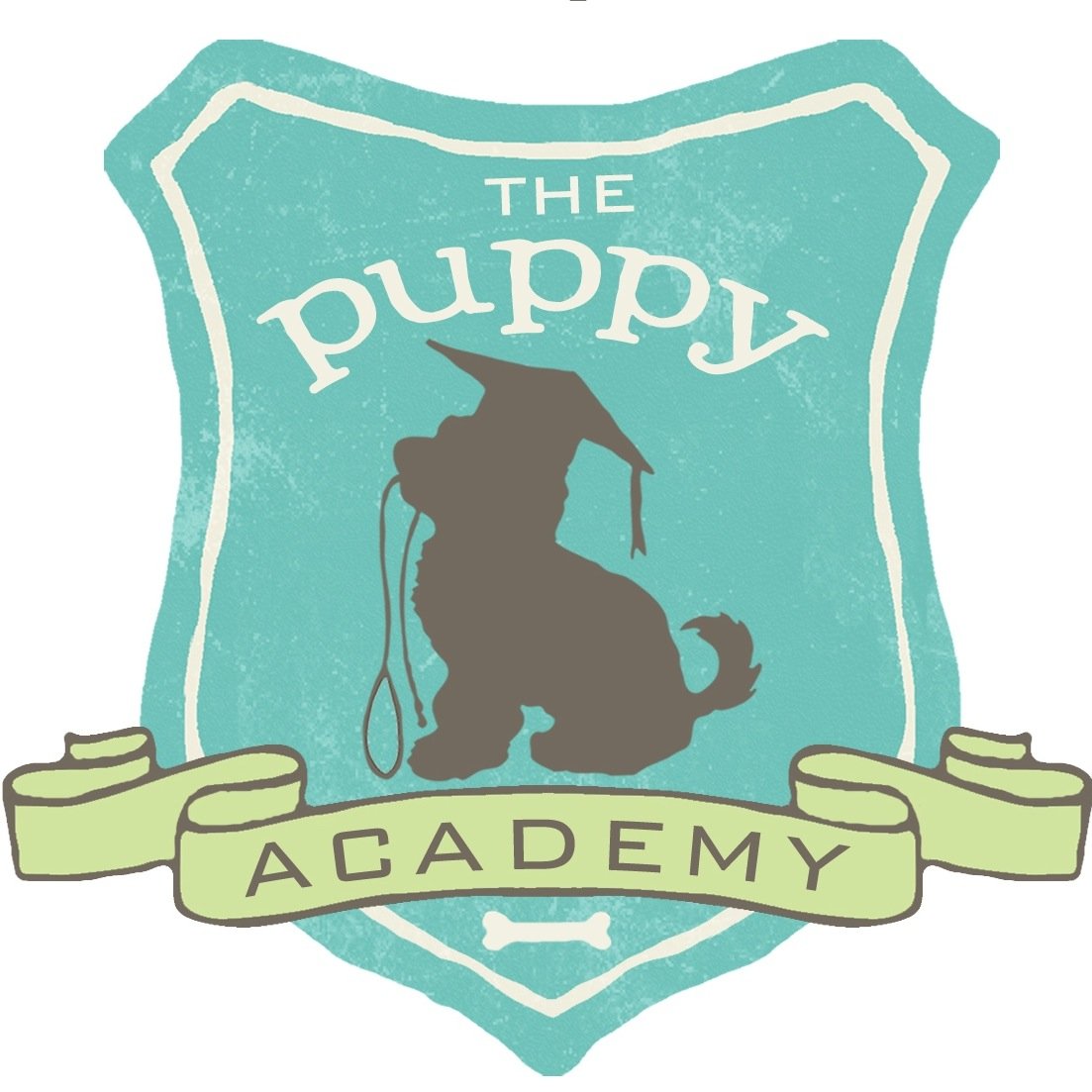 the puppy academy the puppy academy thepuppyacademy the puppy academy the puppy academy thepuppyacademy