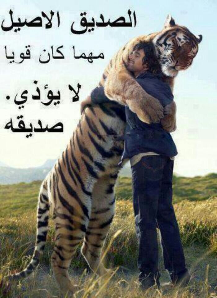 الطيب فطرة ...والشجاعه من الله ...والمرجله ما يبي لها لامنصب ولامال!!