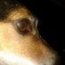 Critch (@chilloutamigo) Twitter profile photo Critch (@chilloutamigo) Twitter profile photo