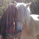 Jazz - @Jasmine_Evers - Twitter