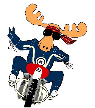 vchristo13's profile picture. 